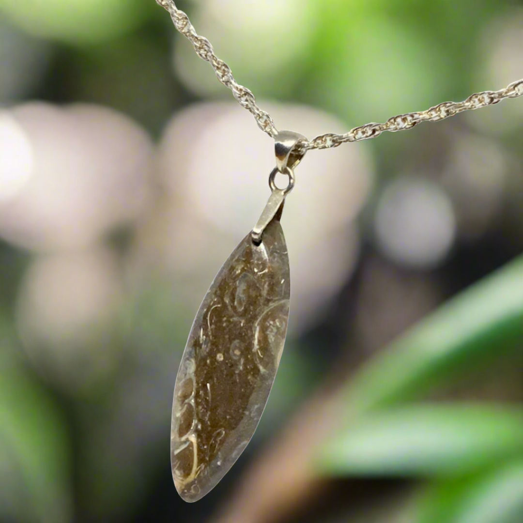 turritella-agate-pendant-silver-arlana-canada